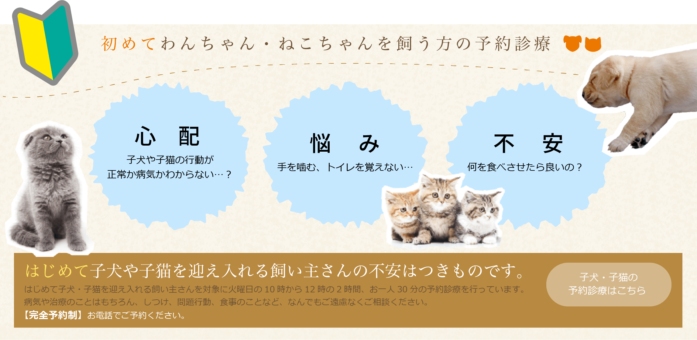 初めてわんちゃん・ねこちゃんを飼う方の予約診療　心配：子犬や子猫の行動が正常か病気かわからない…？　悩み：手を噛む、トイレを覚えない…　不安：何を食べさせたら良いの？　はじめて子犬や子猫を迎え入れる飼い主さんの不安はつきものです。　シークペットクリニックは一般診診療とは別枠の12時半から13時半の1時間、お一人30分の予約診療を行っています。病気や治療のことはもちろん、しつけ、問題行動、食事のことなど、何でもご遠慮なくご相談ください。