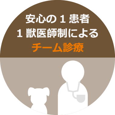 安心の1患者1獣医師制によるチーム診療