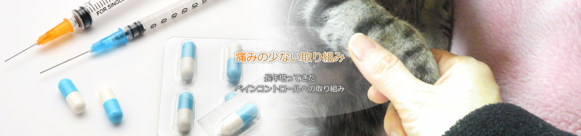 痛みの少ない取り組み 長年培ってきたペインコントロールへの取り組み