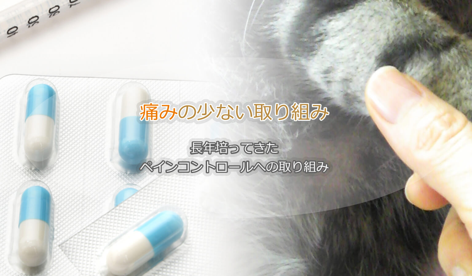 痛みの少ない取り組み 長年培ってきたペインコントロールへの取り組み