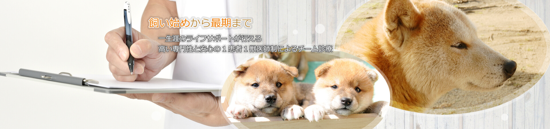 飼い始めから最期まで 一生涯のライフサポートが行える高い専門性と安心の1患者1獣医師制によるチーム診療