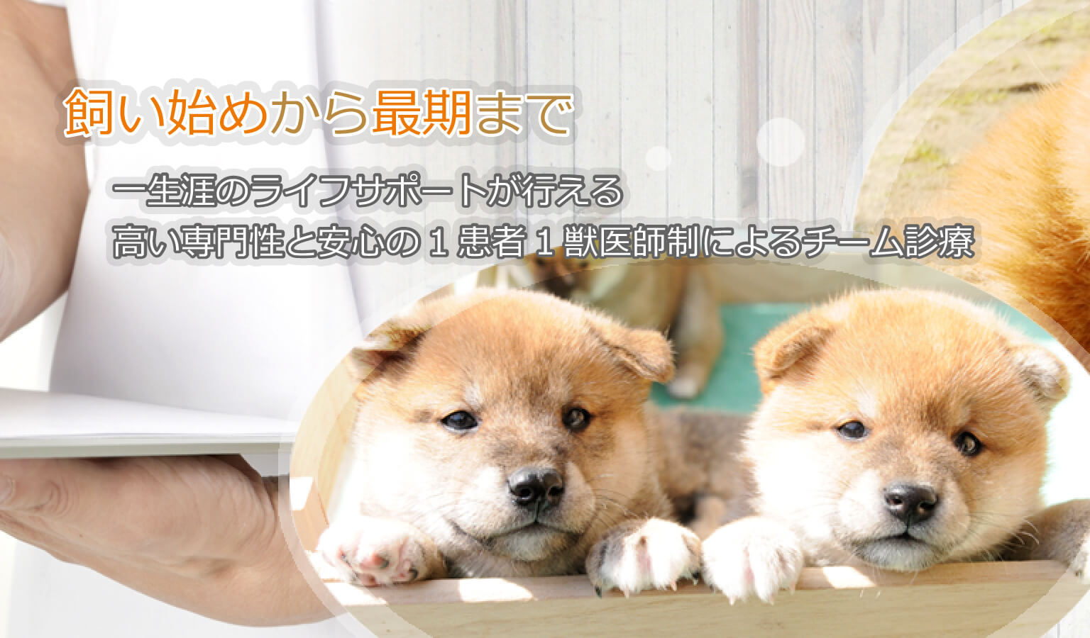 飼い始めから最期まで 一生涯のライフサポートが行える高い専門性と安心の1患者1獣医師制によるチーム診療