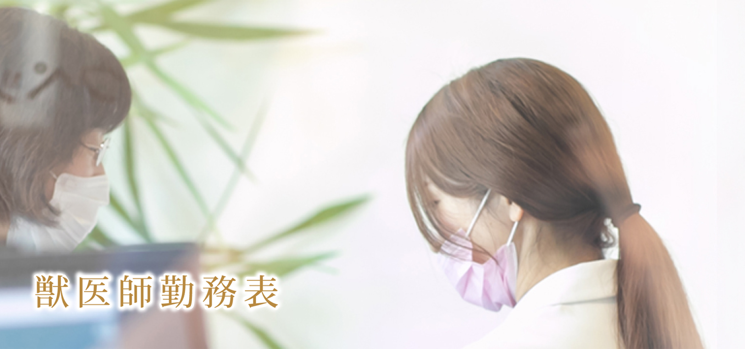 獣医師勤務表