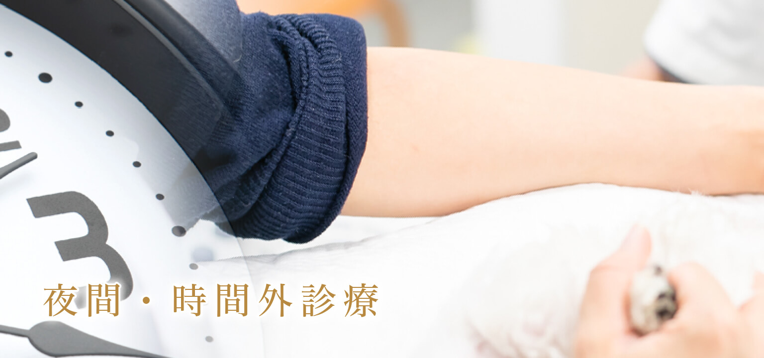 夜間・時間外診療
