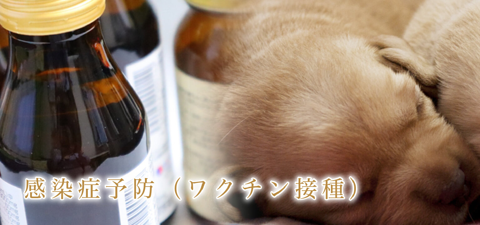 感染症予防（ワクチン接種）