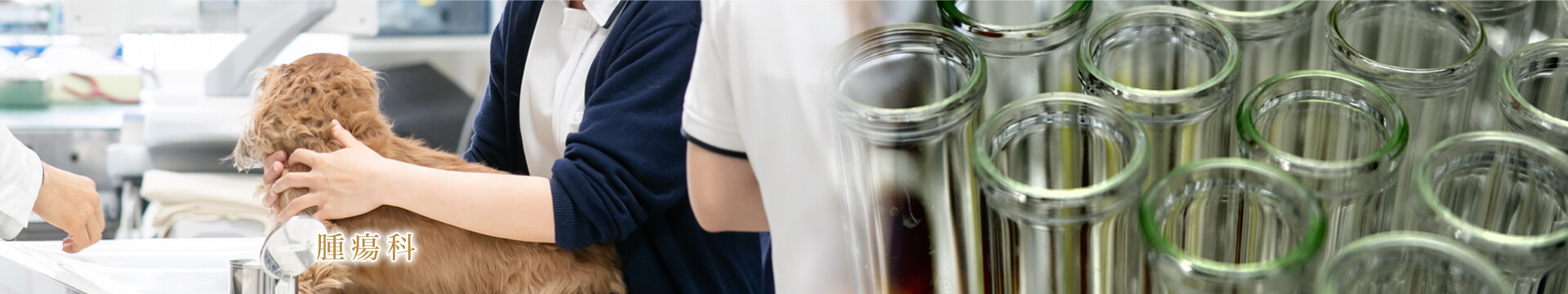 腫瘍科
